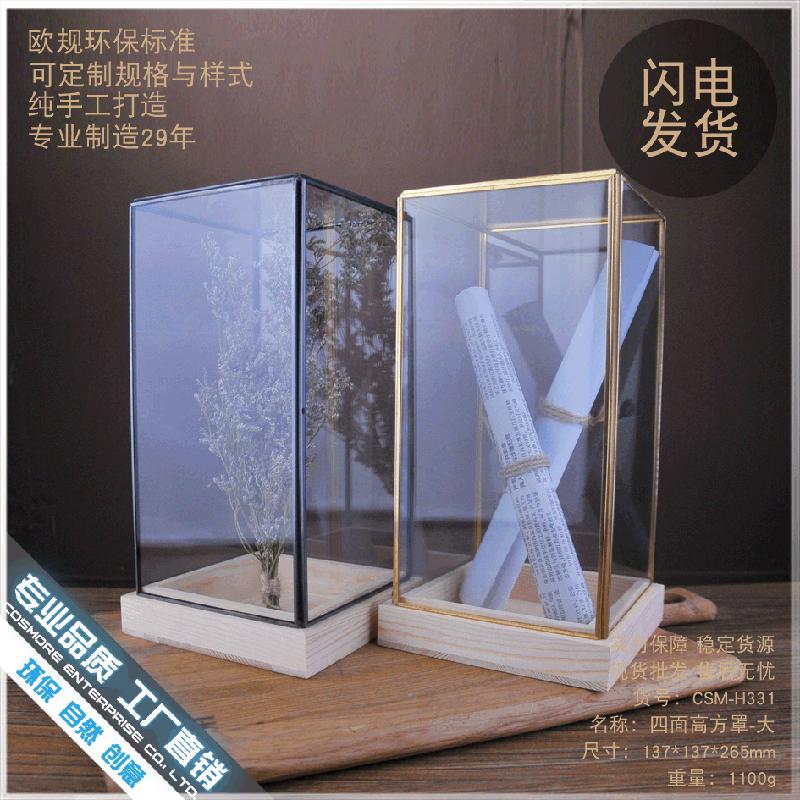 Chậu Đa Giác DG-51 Mẫu vật liệu kính đơn giản hợp phong thủy ở nhà, quán cafe, cửa hàng quần áo