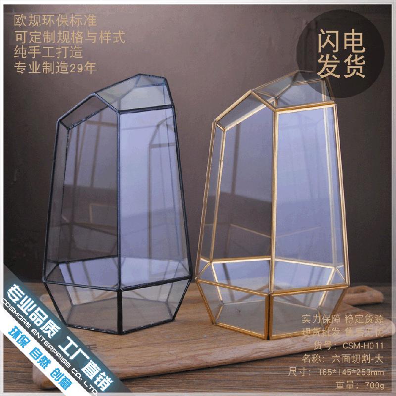 Chậu Đa Giác DG-8 Cây thực vật lá cứng, phòng kính thủy tinh, hộp sinh thái nhỏ, quà tặng sáng tạo và hàng loạt cắt lớn