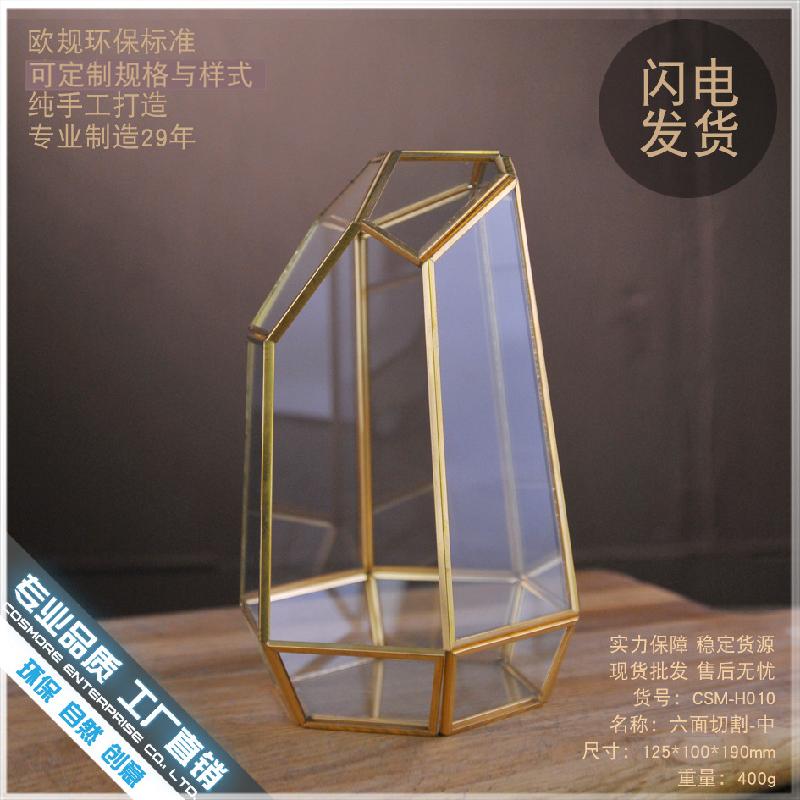 Chậu Đa Giác DG-10 Tạo cảnh quan rừng mưa bằng sứ mệnh động tượng của bề mặt bàn tính