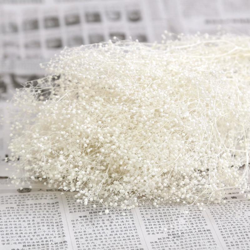 Hoa khô trang trí FY-19