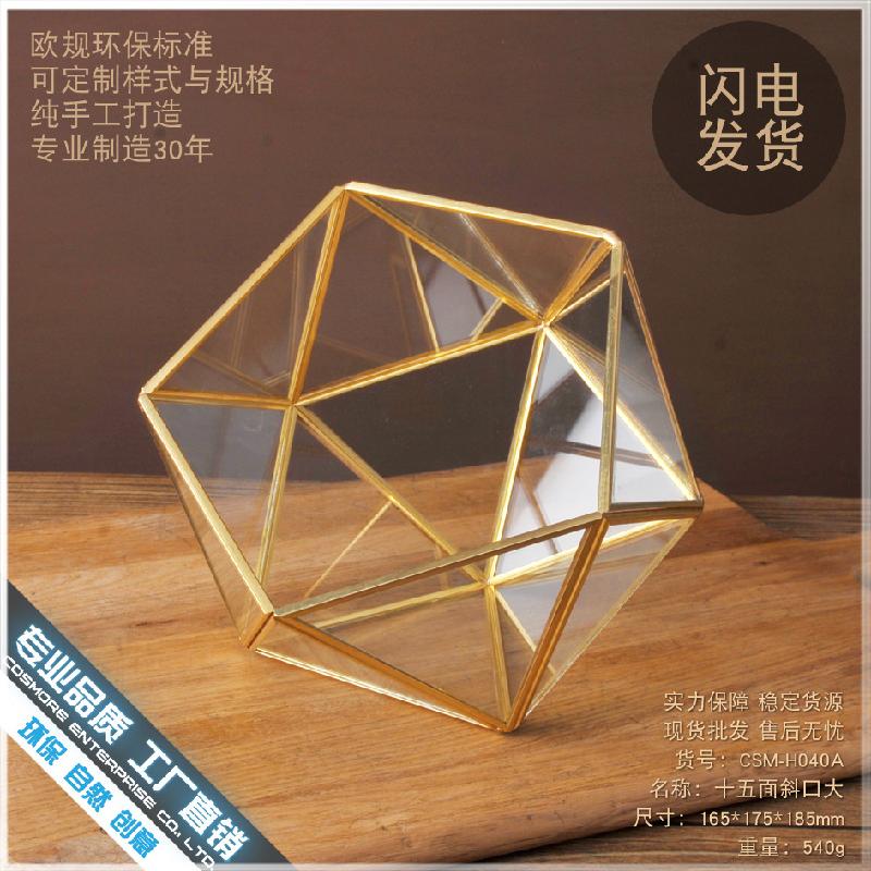 Chậu Đa Giác DG-217 Đĩa đồng bảy mặt nghiêng, nhà hoa thịnh thụy vĩnh cửu, cỏ thảo tím, cảnh quan nhỏ, trong suốt, sáng tạo, đầy đủ thực vật