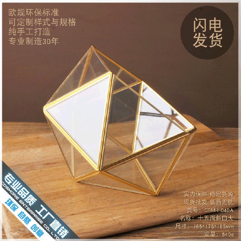 Chậu Đa Giác DG-217 Đĩa đồng bảy mặt nghiêng, nhà hoa thịnh thụy vĩnh cửu, cỏ thảo tím, cảnh quan nhỏ, trong suốt, sáng tạo, đầy đủ thực vật