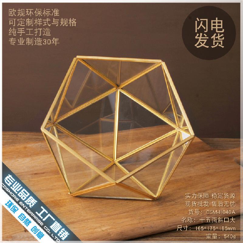 Chậu Đa Giác DG-217 Đĩa đồng bảy mặt nghiêng, nhà hoa thịnh thụy vĩnh cửu, cỏ thảo tím, cảnh quan nhỏ, trong suốt, sáng tạo, đầy đủ thực vật