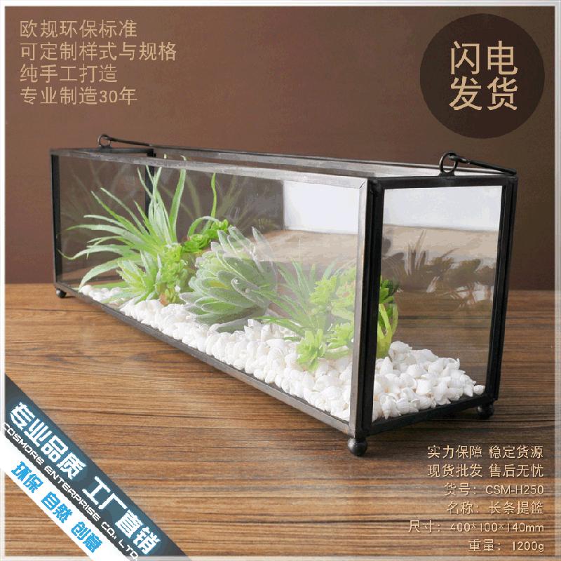 Chậu Đa Giác DG-105 Vật dụng nội thất phong cách Âu, bộ trang trí kính, chậu hoa cây thực vật đa rễ, chậu cây xanh, thùng thảm minh bạch, thiết kế cảnh quan nhỏ, trang trí trọn gói