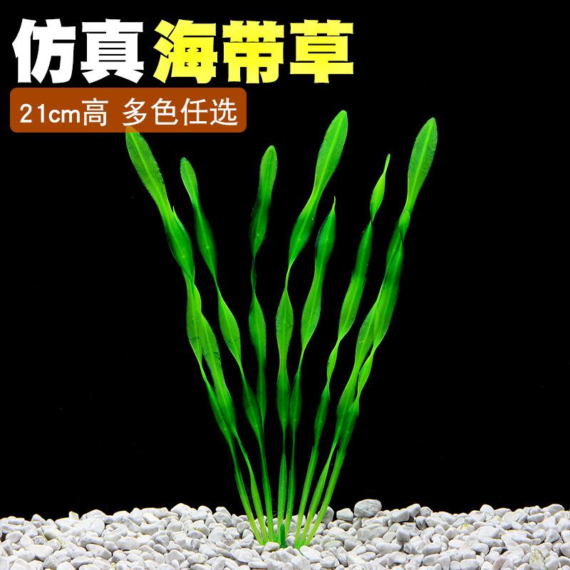 Nước cỏ giả tảo bẹ rong biển (YR-32)