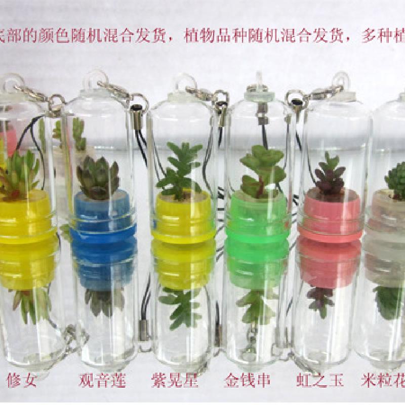 Cây mọng nước điện thoại di động mặt dây chuyền micro phong cảnh micro cây cảnh làm cho phòng hoa di động trang trại cây bé (VT-99)