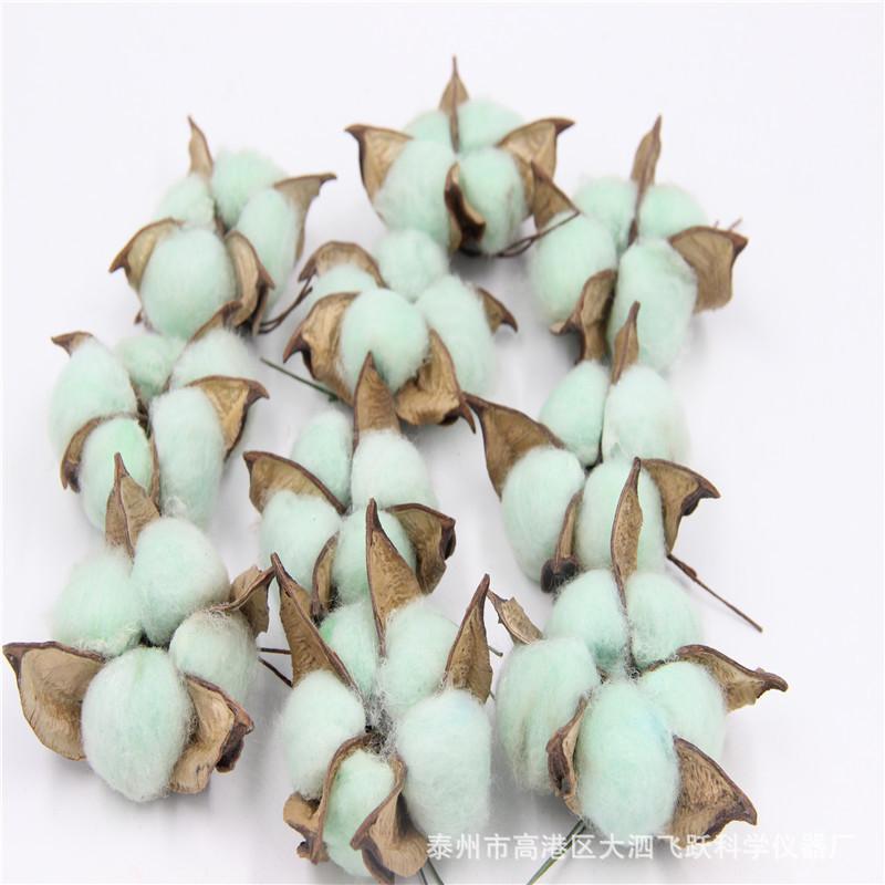 Trang Trí Noel Nguyên liệu trang trí DIY: đầu hoa khô, bông gòn, hoa chùm, vòng hoa, phụ kiện chụp hình từ nhà máy uy tín.