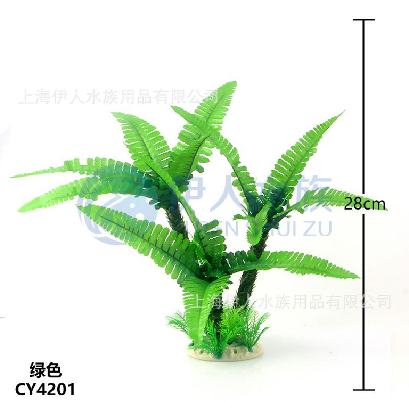 Thực vật thuỷ sinh (YR-153)