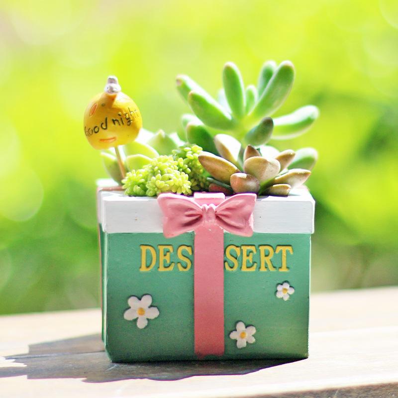 Chậu Cây Resin Chậu cây mọng nước mini resin phong cách hoạt hình, chậu để bàn văn phòng, trang trí tiểu cảnh (RG-91)