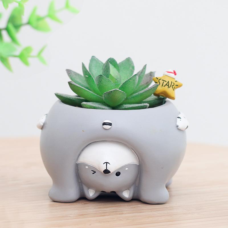 Chậu Cây Resin Chậu cây mọng nước hình heo resin, chậu mini để bàn, đồ trang trí và quà tặng (RG-133)