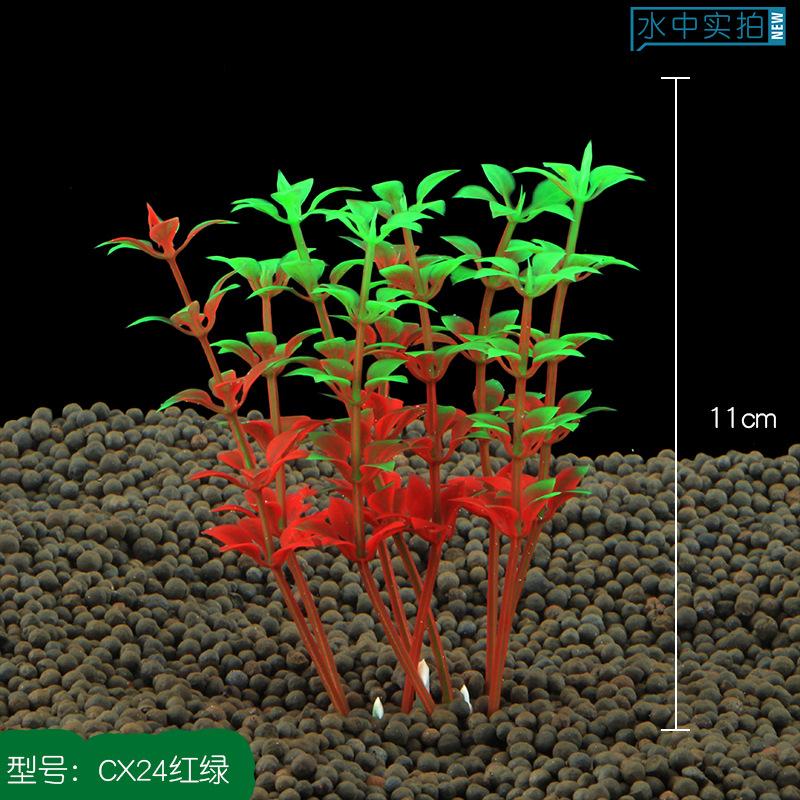 Mô hình thực vật thuỷ sinh bể cá (YR-8)