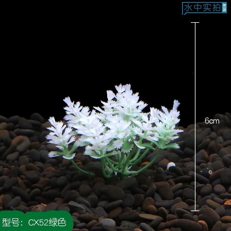 Mô hình thực vật thuỷ sinh bể cá (YR-8)