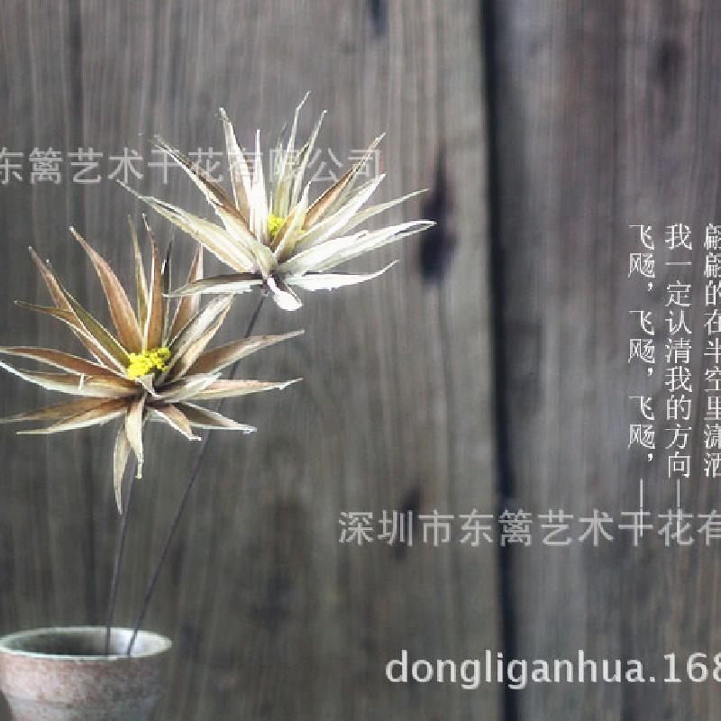 DL-51 Hoa khô của nhà ở phòng khách trang trí nghệ thuật, hoa khô ...