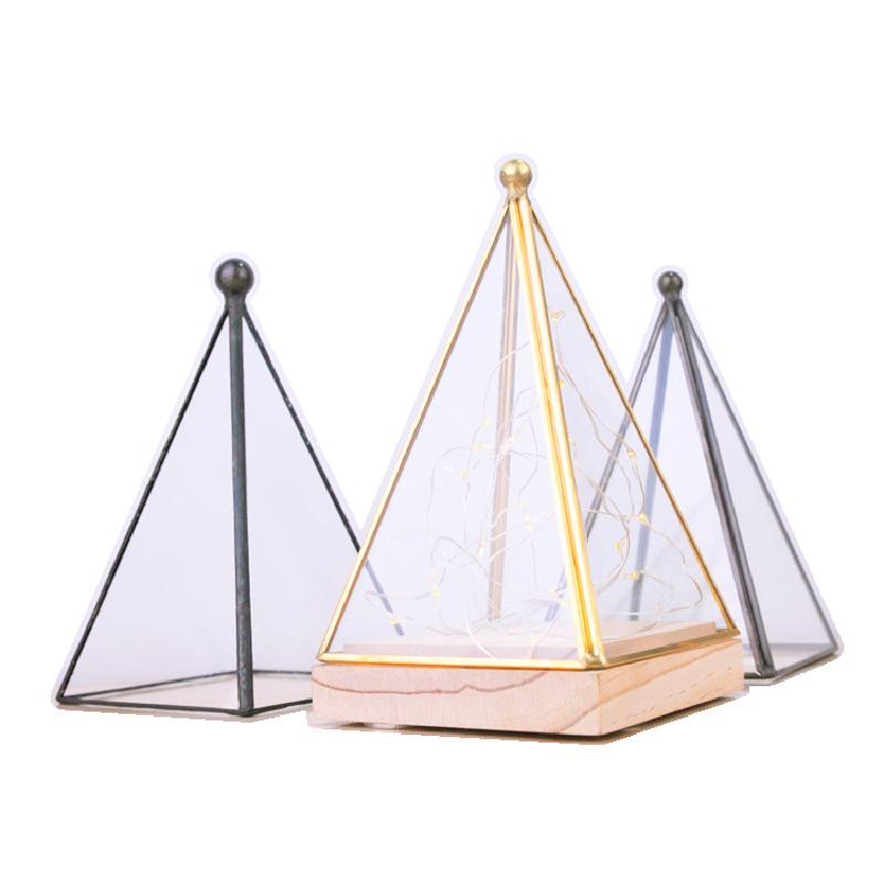 Chậu Đa Giác DG-152 Cây lửa, hoa bạc, cây gỗ, đế đèn kính LED