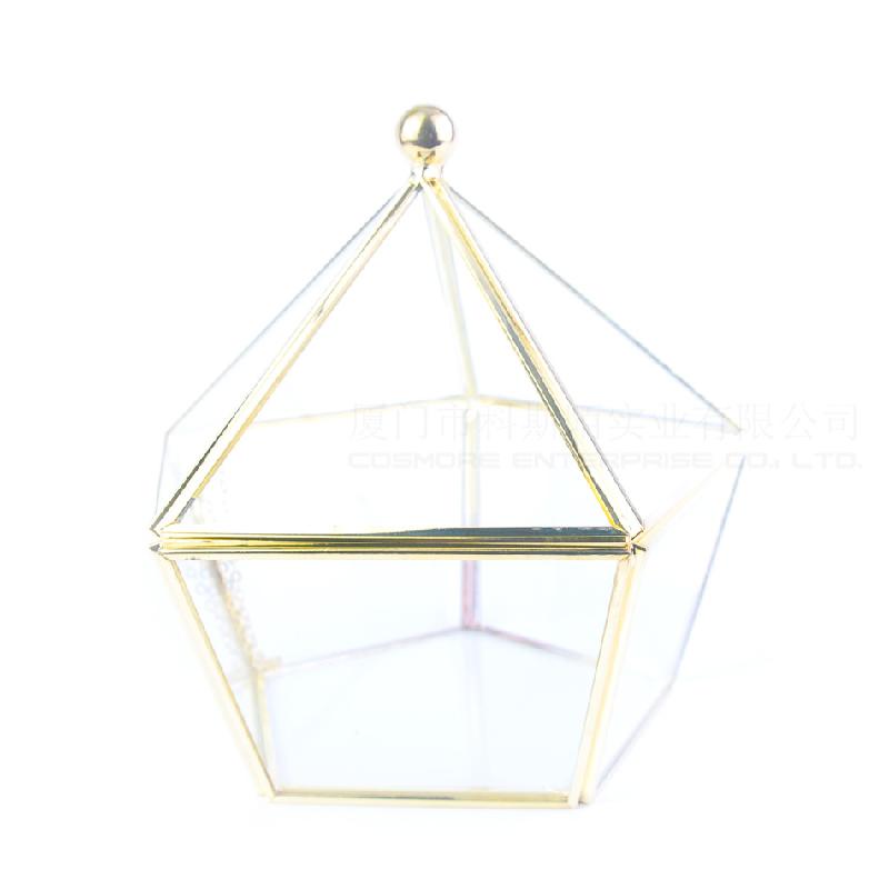 Chậu Đa Giác 永生花花盒首饰项链收纳盒防尘罩玻璃花房情人节礼物器皿五面开盖