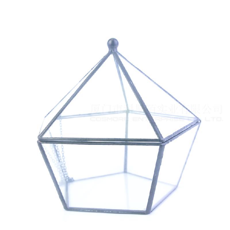 Chậu Đa Giác DG-41 Mặt nắp nổi bậc thứ năm, kim cương, cây thực vật đầy mồ hôi, cảnh quan nhỏ độc đáo, thủy tinh không định hình, hoa bền vĩnh cửu, hộp phòng thương mại