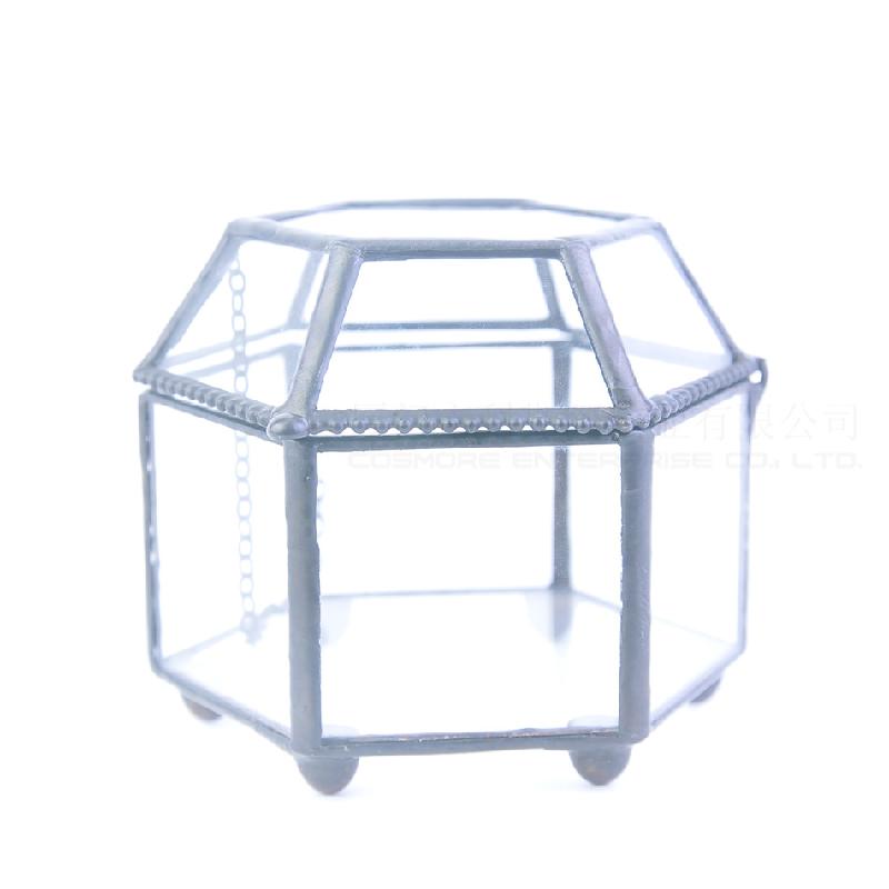 Chậu Đa Giác DG-76 Những chiếc hộp kính nhỏ, những bông hoa bền đời, thảm cỏ, thực vật nhỏ