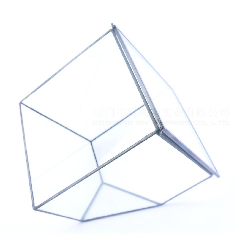 Chậu Đa Giác DG-64 Nhà kính thủy tinh lớn của nhà sản xuất, có thiết kế sáng tạo, hoa bền vững, thảo mộc, cảnh quan nhỏ và các chậu hoa đa thực vật