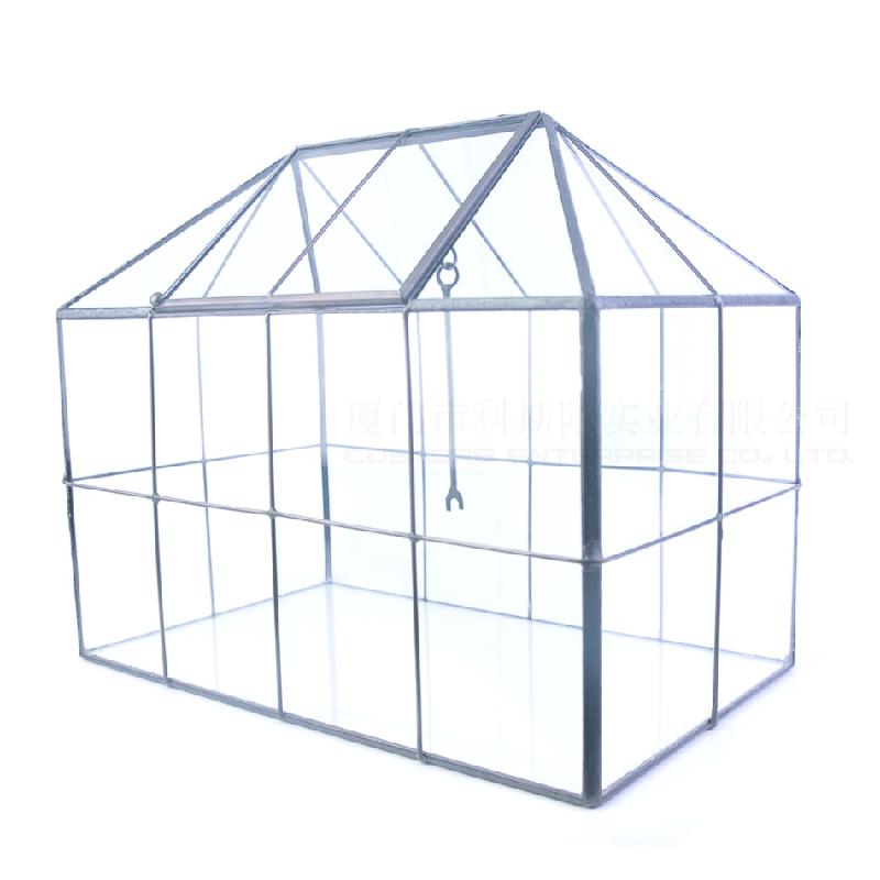 Chậu Đa Giác DG-31 Nhà kính khuyết, nhỏ, cây thực vật đông cơ, thực vật mụn, cảnh quan nhỏ, kính không đều, hoa không bao giờ chết