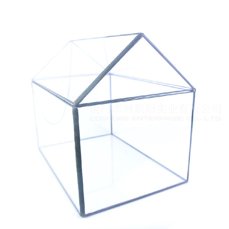 Chậu Đa Giác DG-16 Cửa hộp kính lớn có hoa, cây thực vật tảo, thảo mộc với cảnh quan nhỏ