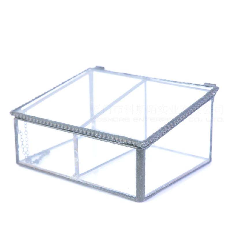 Chậu Đa Giác DG-236 Hộp trang sức bằng kính hai ô, cây thực vật đông cơ, thực vật mộc nhỏ, cảnh quan nhỏ, không đều, kính lớn, hoa bền vững, hộp nhà phân phối