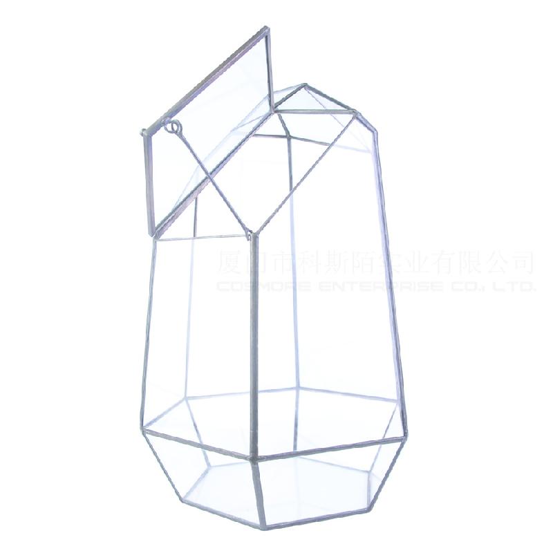 Chậu Đa Giác DG-22 Cắt kính cửa béo lớn, phong cảnh nhỏ, hoa bền vững, thảo mộc, cảnh quan trong suốt, ý tưởng sáng tạo, hộp hoa đa thực vật sỉ