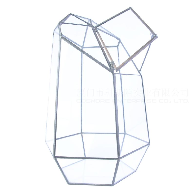 Chậu Đa Giác DG-22 Cắt kính cửa béo lớn, phong cảnh nhỏ, hoa bền vững, thảo mộc, cảnh quan trong suốt, ý tưởng sáng tạo, hộp hoa đa thực vật sỉ