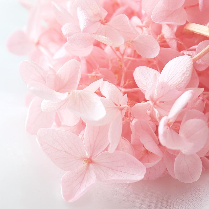 Hoa khô trang trí FY-7