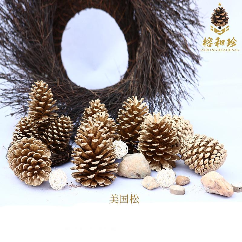 Trang Trí Noel Trang trí Noel: Quả thông vàng, quả nhuộm và quả linh sam