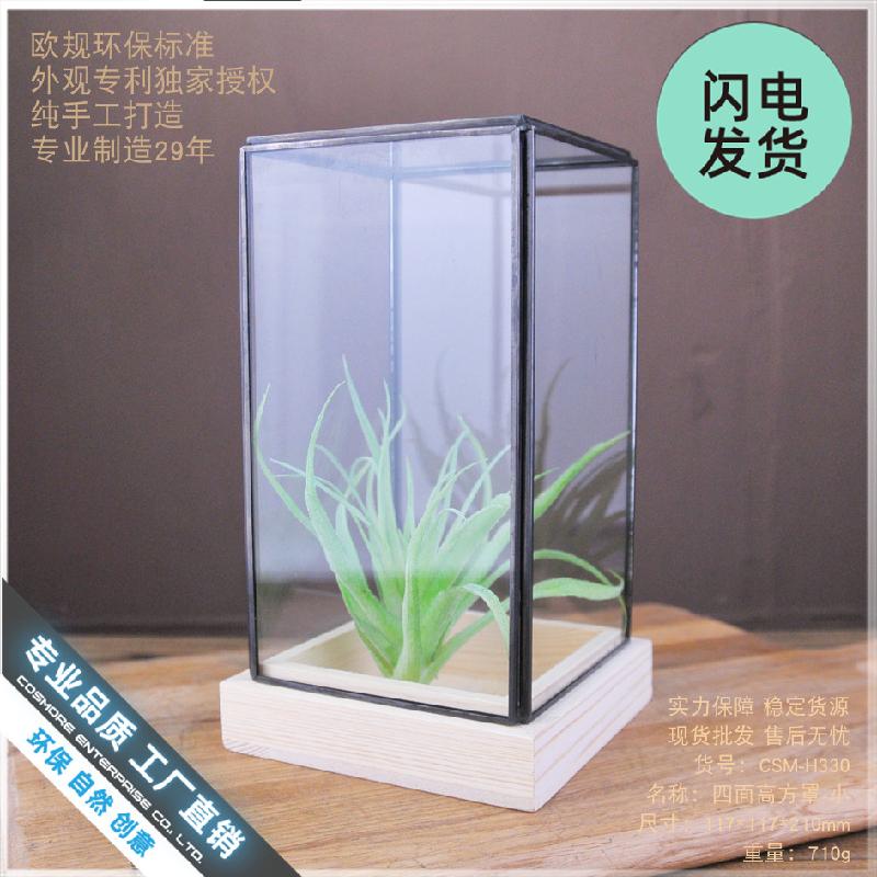 Chụp kính decor văn phòng, bàn làm việc (DG-133)