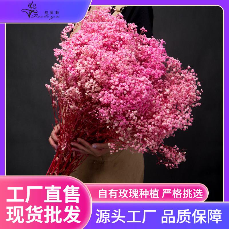 Hoa khô trang trí FY-30