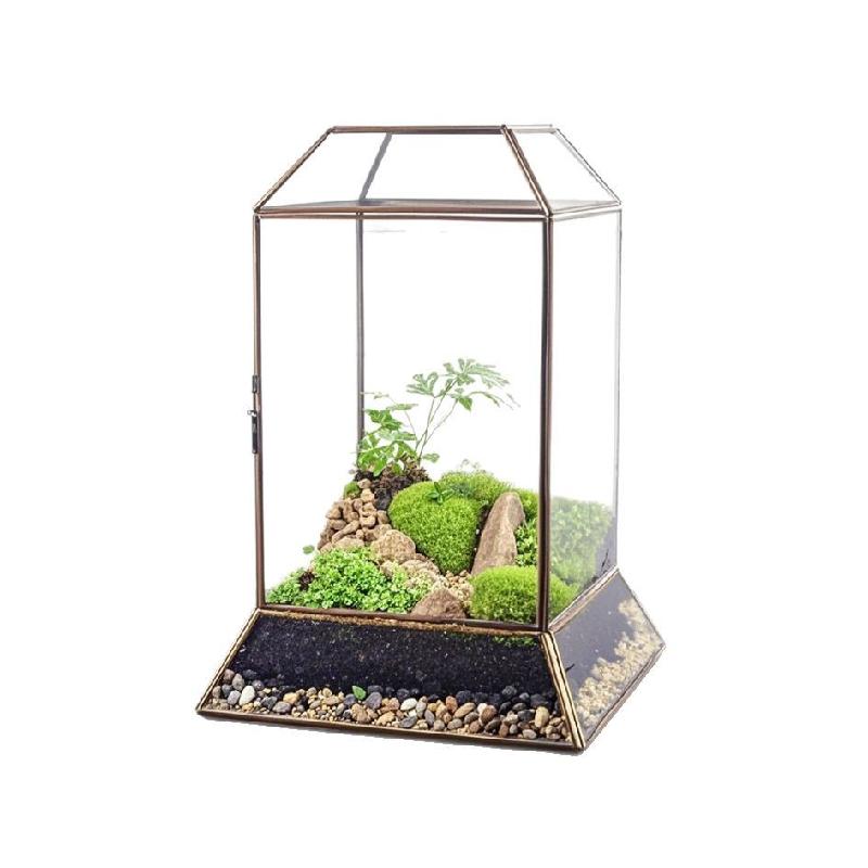 Bình sinh thái rêu cảnh DIY, bể rừng mini (DG-75)