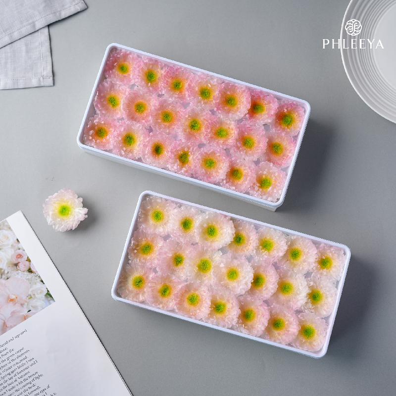 Hoa khô trang trí Hoa cúc vĩnh cửu DIY hoa khô cắm bình trang trí (HK-37)
