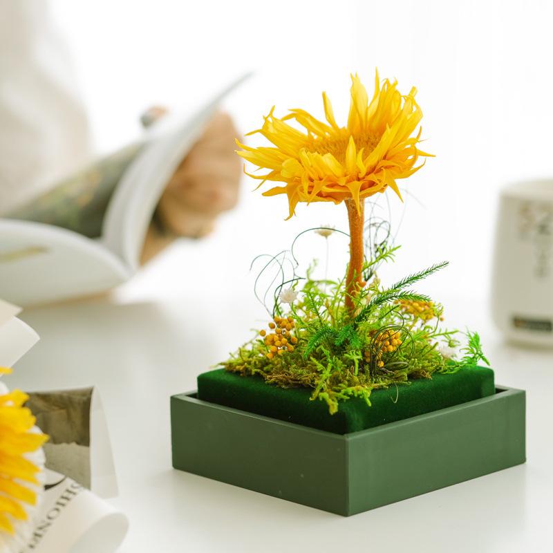 Hoa khô trang trí FY-147