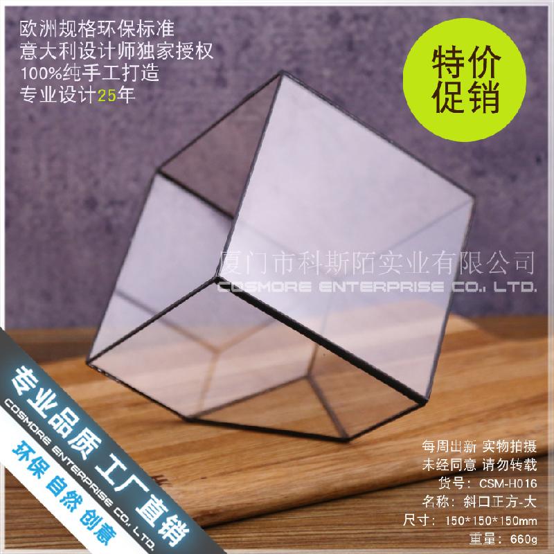 Chậu Đa Giác Nhà kính vuông lớn nắp kính, rêu cảnh (DG-73)