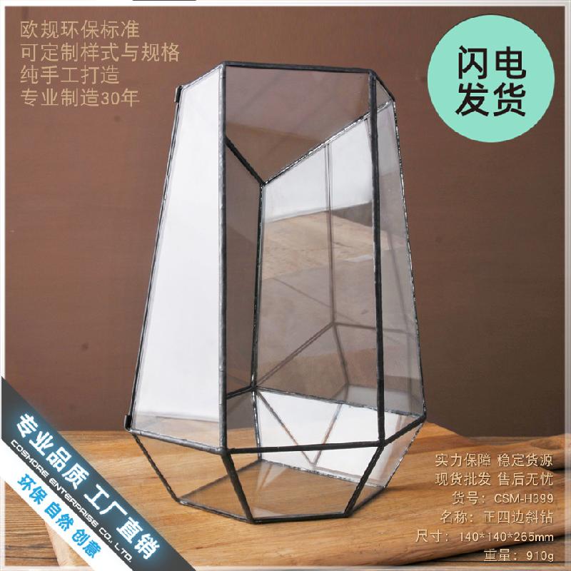 Chậu Đa Giác Bình sinh thái cây xanh mini (DG-10)