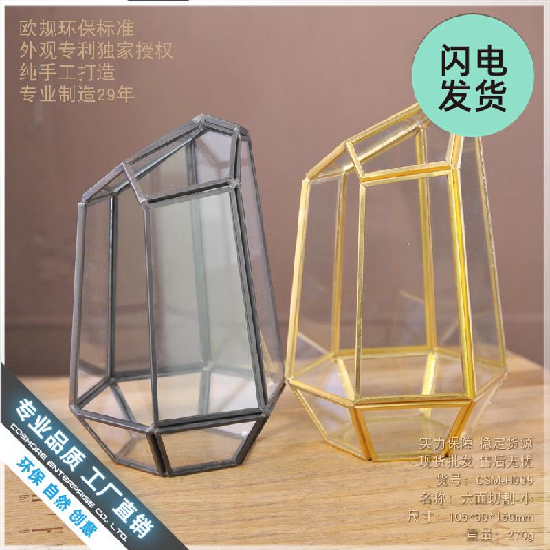 Chậu Đa Giác Nhà kính 6 mặt mini (DG-44)