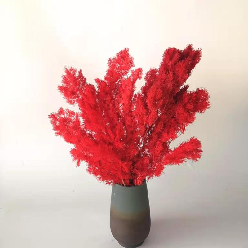 Hoa khô trang trí FY-41