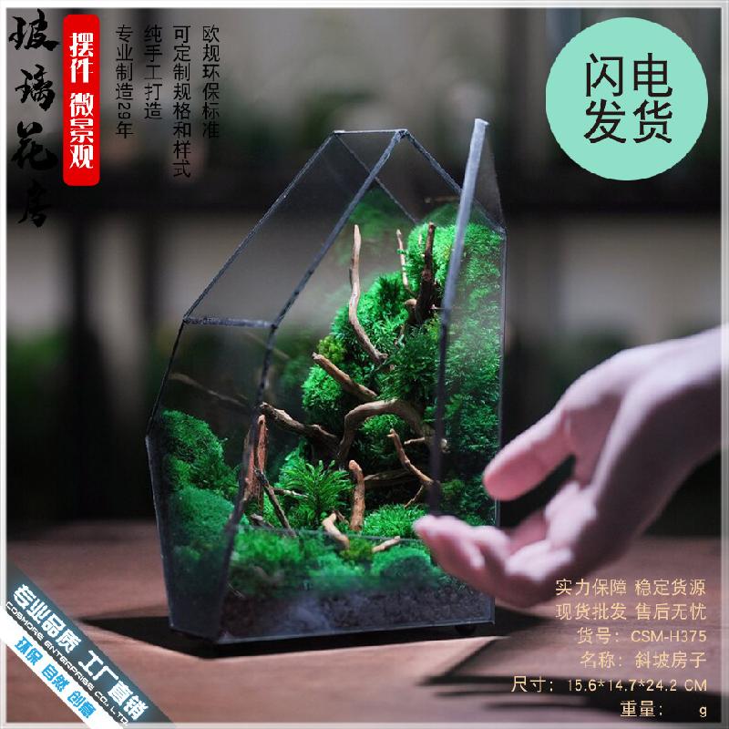 Chậu Đa Giác Bể rừng mưa Terrarium kính (DG-34)