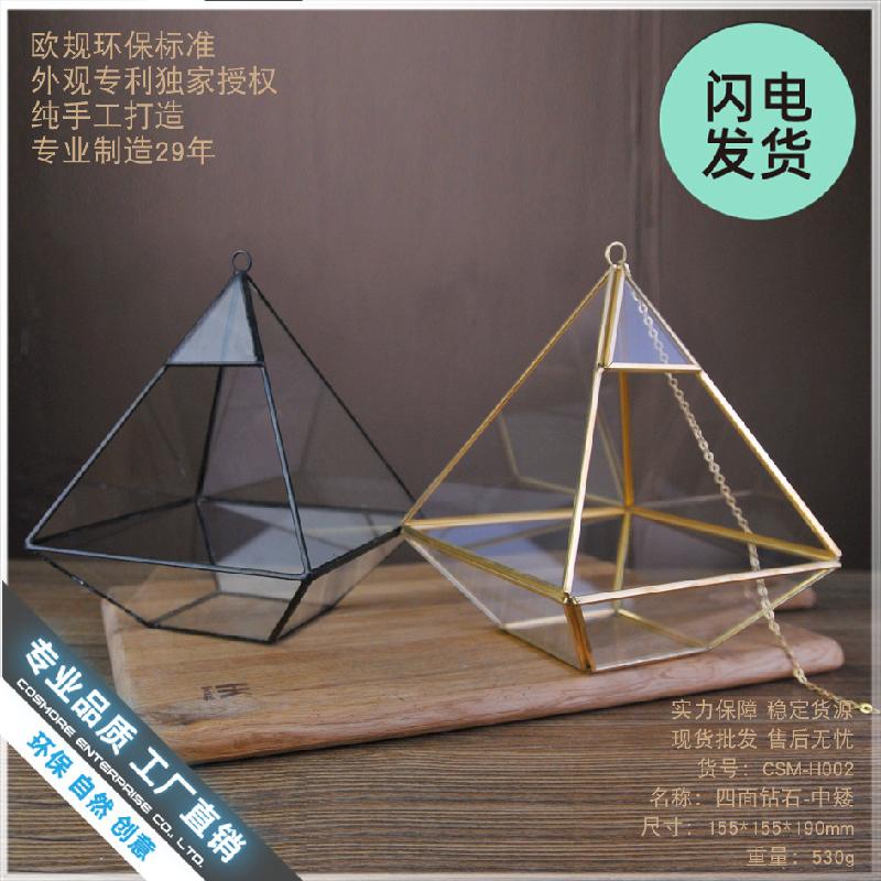 Chậu Đa Giác Chụp kính hoa bất tử Terrarium (DG-36)