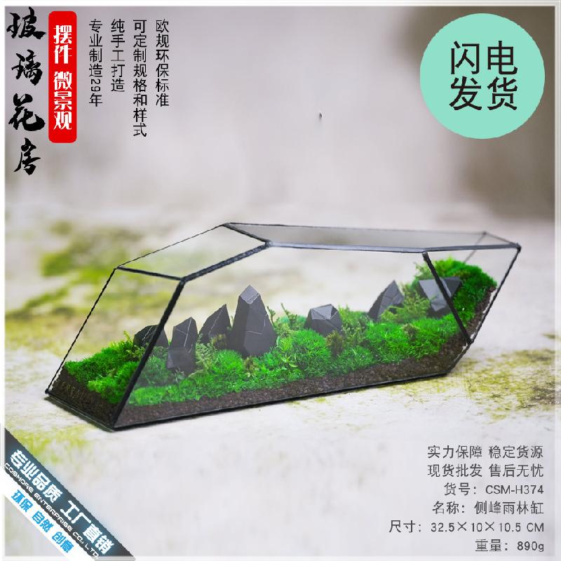 Chậu Đa Giác 苔藓微景观玻璃花房器皿生态雨林缸造景流水植物墙花盆器鱼玻璃罩