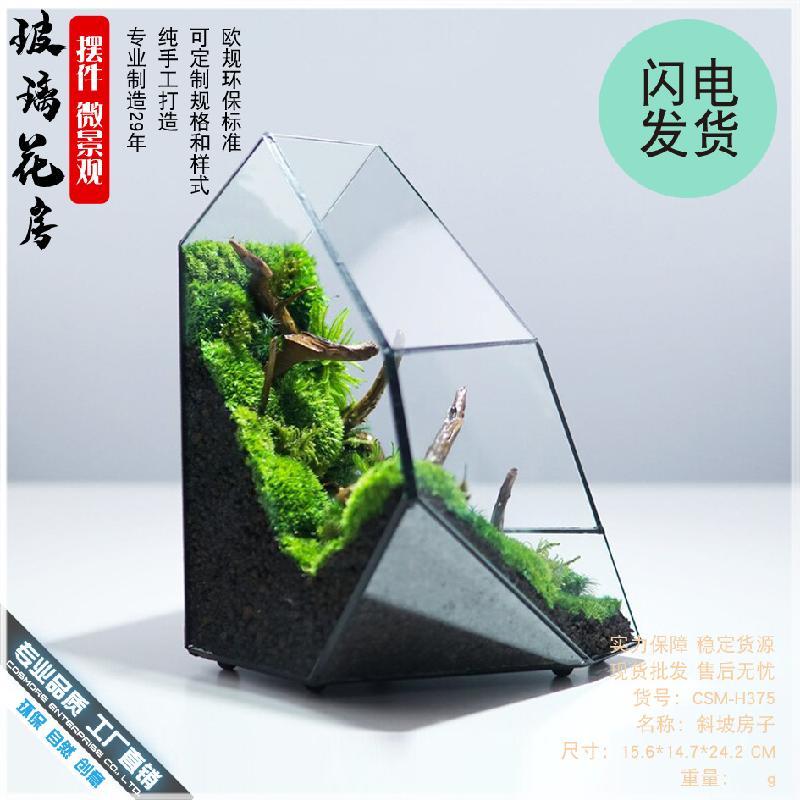 Chậu Đa Giác Bể rừng mưa Terrarium kính (DG-34)