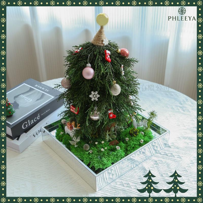 Hoa khô trang trí Hoa hồng vĩnh cửu cây thông Noel quà Valentine Thất Tịch (HK-80)