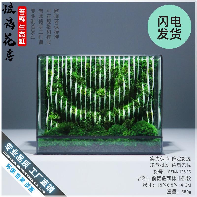 Chậu Đa Giác Bể kính rêu cảnh thủy sinh (DG-25)