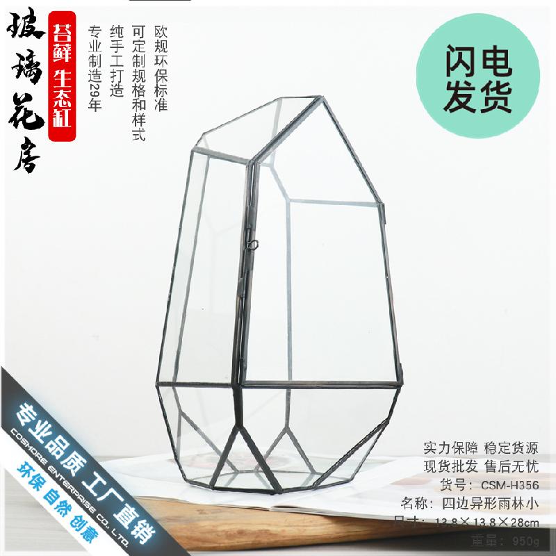 Chậu Đa Giác Bể Terrarium rừng mưa mini (DG-45)