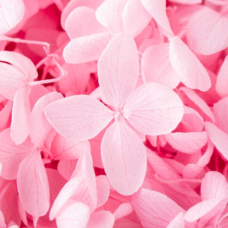 Hoa khô trang trí FY-7