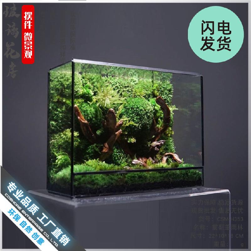 Chậu Đa Giác Nhà kính Terrarium hình học rêu cảnh (DG-11)