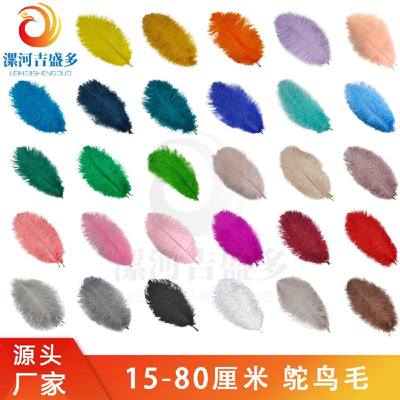 Trang Trí Noel Lông đà điểu trắng từ 15-80cm, lý tưởng cho trang trí sân khấu và sự kiện. Cung cấp số lượng lớn cho đám cưới và DIY. Sẵn có hàng, mua bán buôn.