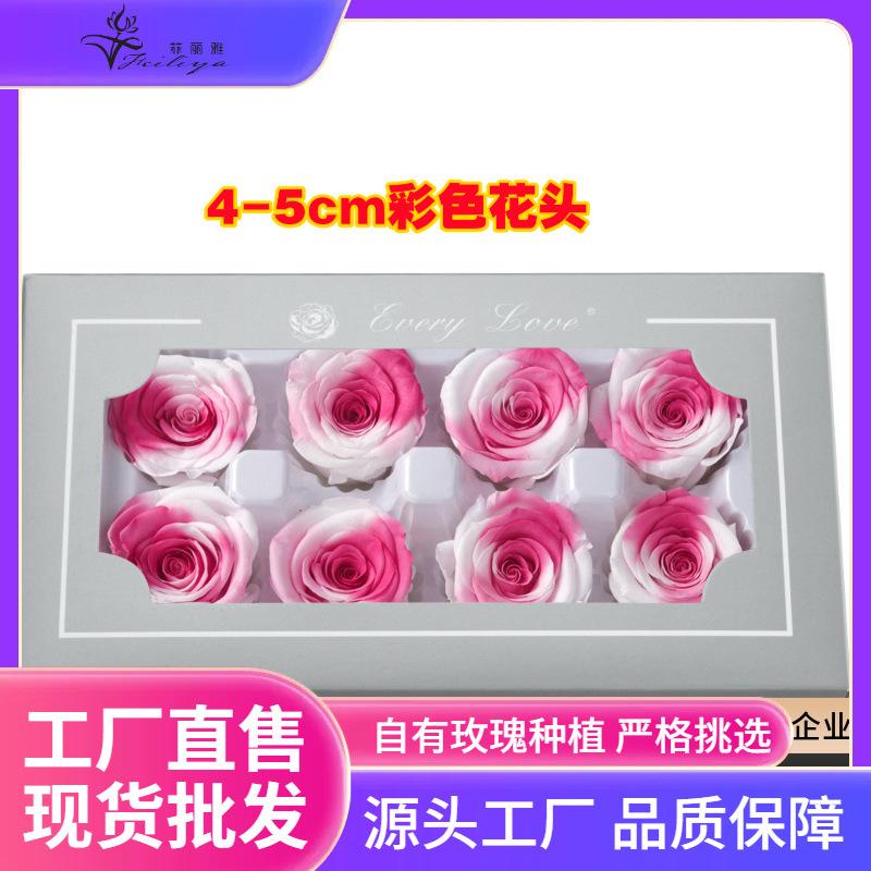 Hoa khô trang trí FY-21