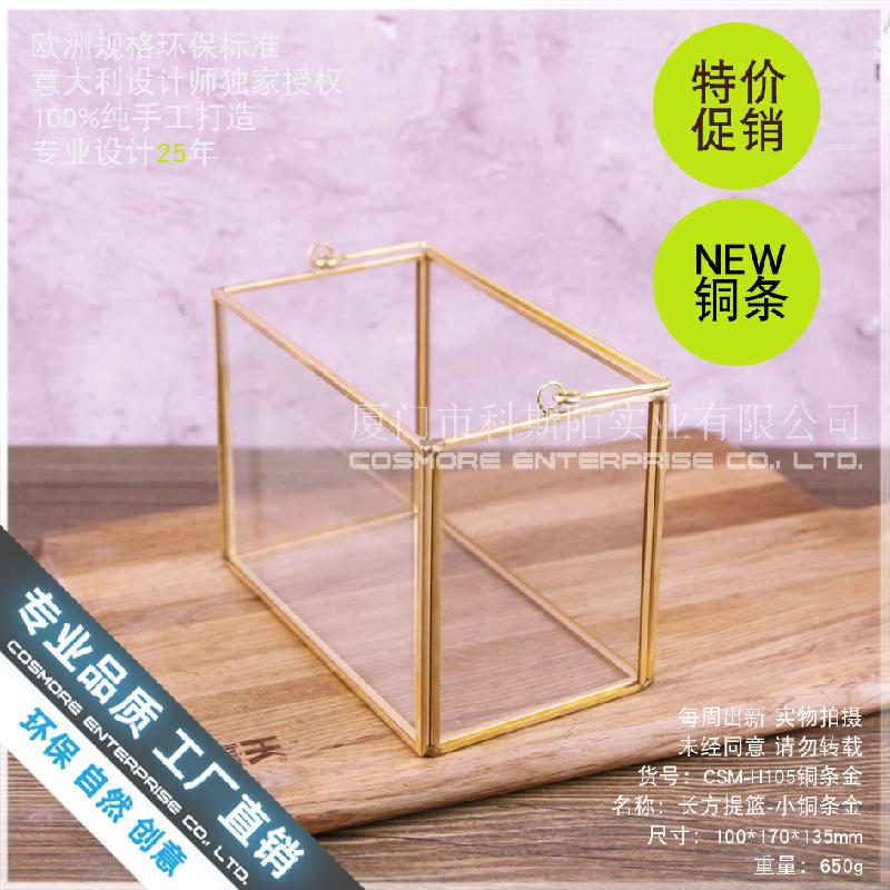 Chậu Đa Giác Nhà kính chữ nhật mini Bắc Âu, đèn nến decor (DG-150)